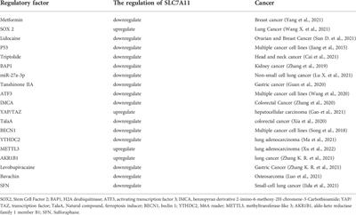 Ferroptosis and its emerging role in esophageal cancer